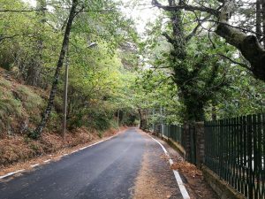 monte faito