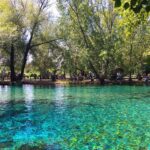 parco del grassano