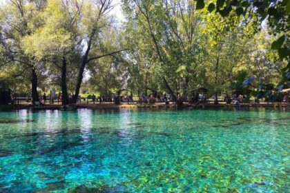 parco del grassano